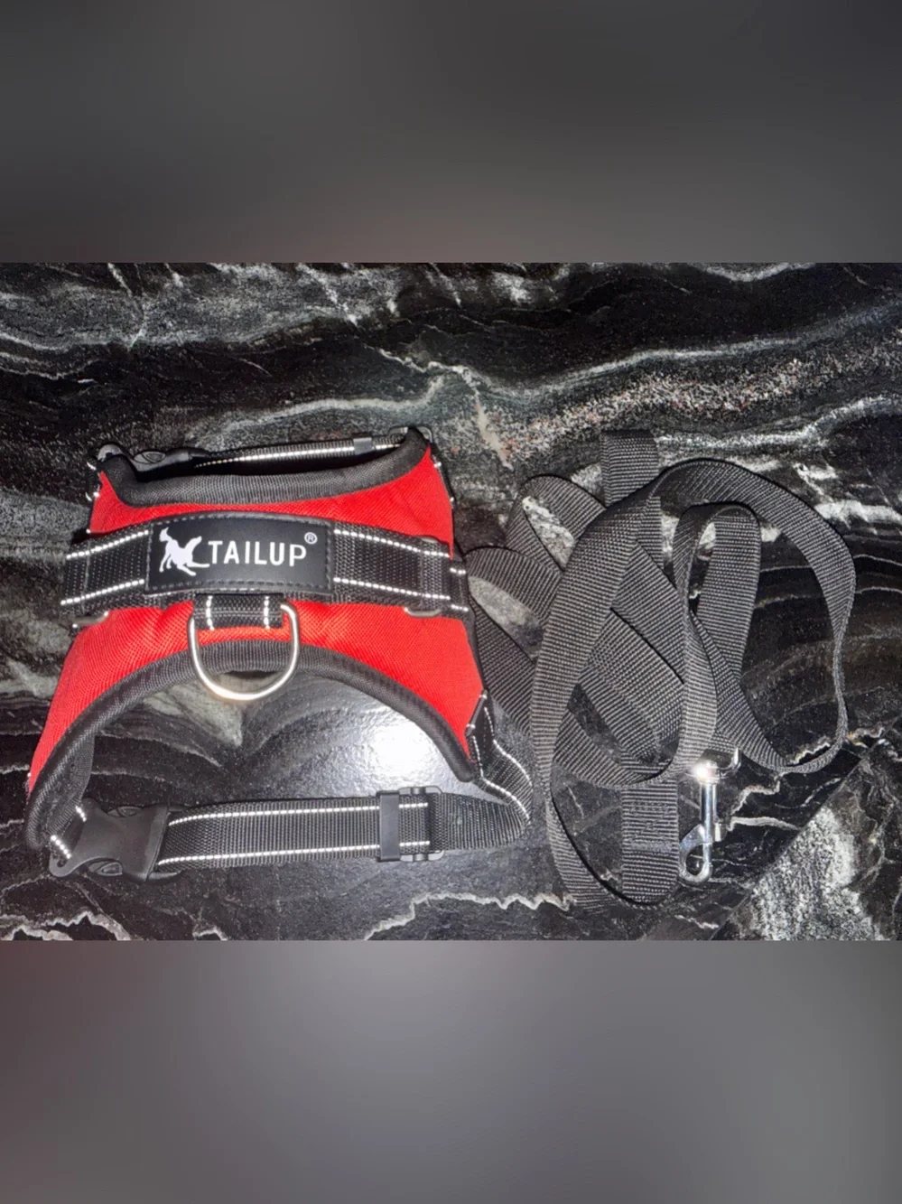 Tail Red Padded Dog Harness with Black Leash